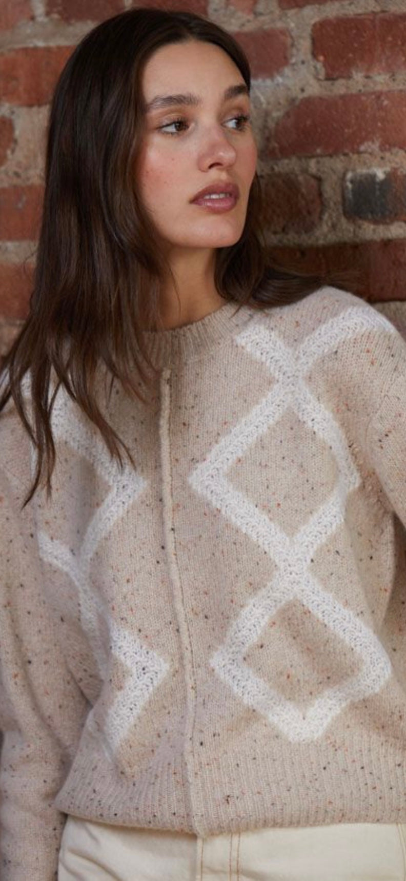 AUTUMN CASHMERE-Boxy Crew w/Diamond Stitch Wild Rice Combo