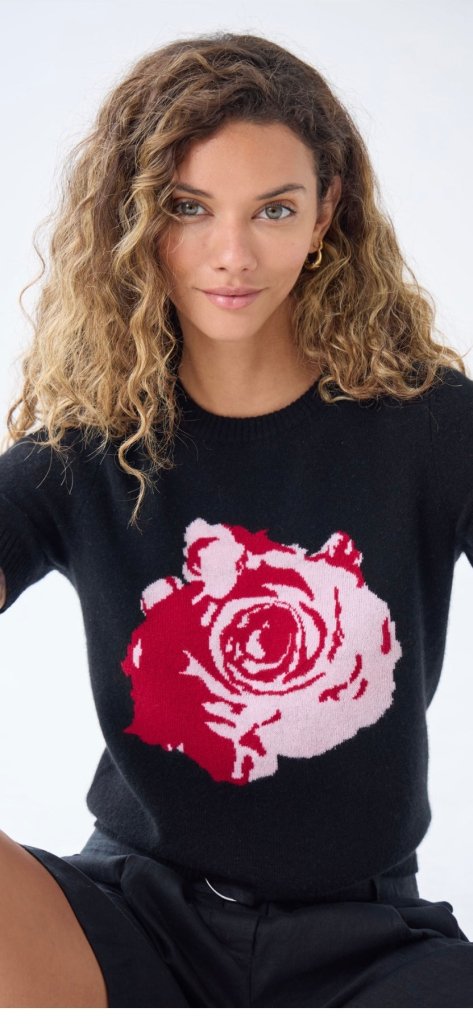 AUTUMN CASHMERE-Cropped Short Sleeve Black Combo